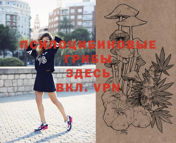 индика Алексин