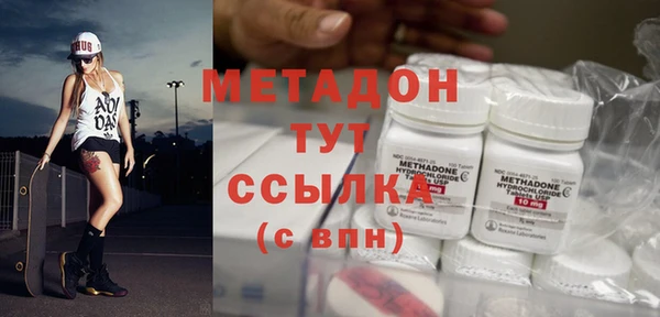 индика Алексин