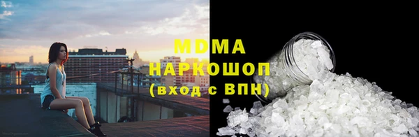 индика Алексин