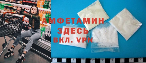 индика Алексин