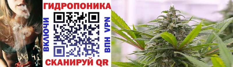 ОМГ ОМГ ссылки  Неман  Бошки марихуана сатива 